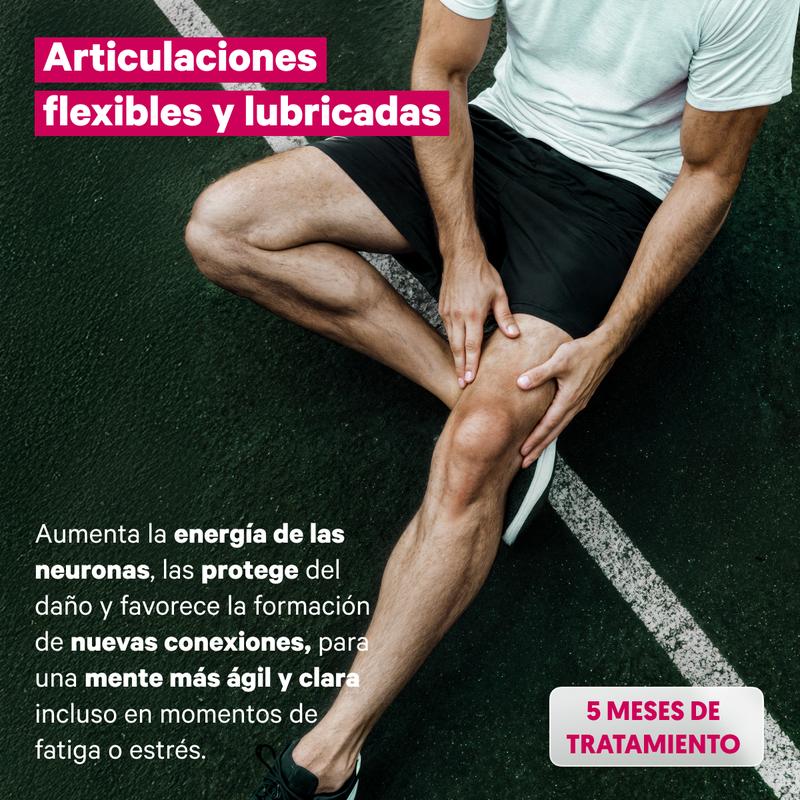 Miniatura del producto 4