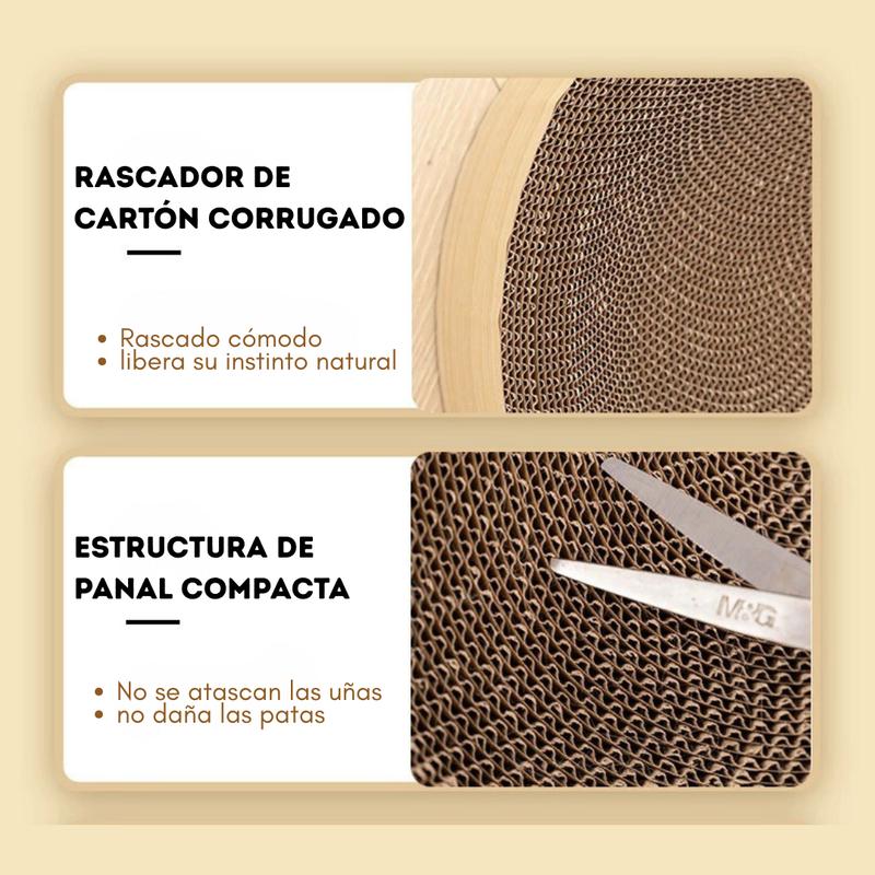 Miniatura del producto 7
