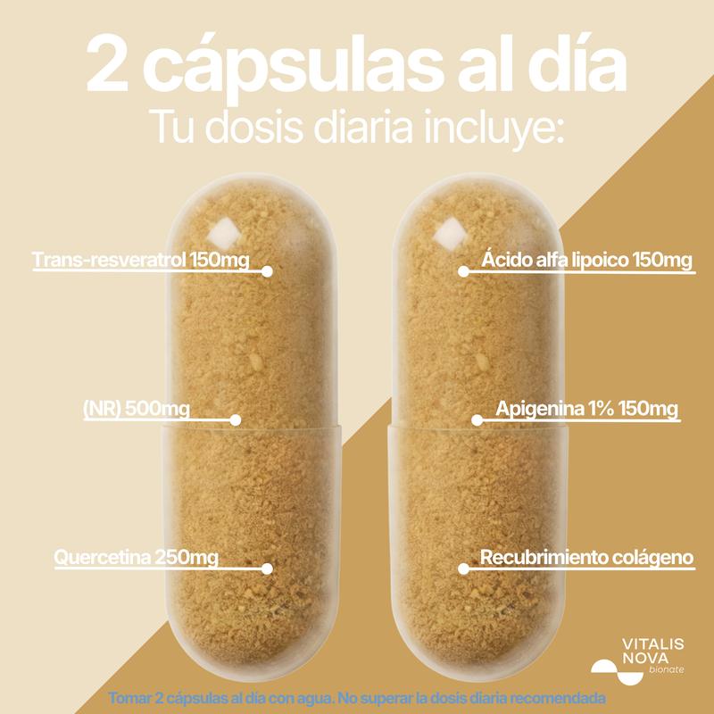 Miniatura del producto 4
