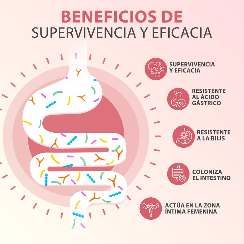 Miniatura del producto 5